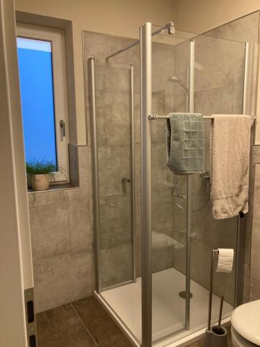 a shower with a glass door in a bathroom at Doppelzimmer mit Ausblick in Siefersheim