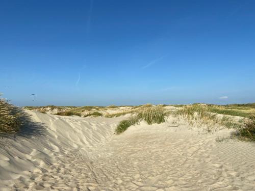 a group of sand dunes on the beach at Lykkehus in Humptrup