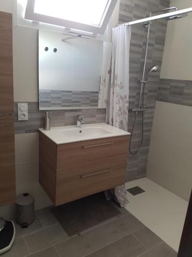 ein Bad mit einem Waschbecken und einer Dusche mit einem Spiegel in der Unterkunft Maison - proche centre ville in Céret