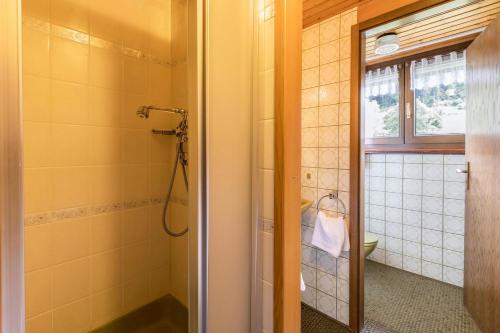 a bathroom with a shower and a toilet and a window at Am Wehrastrand App 5 in Todtmoos