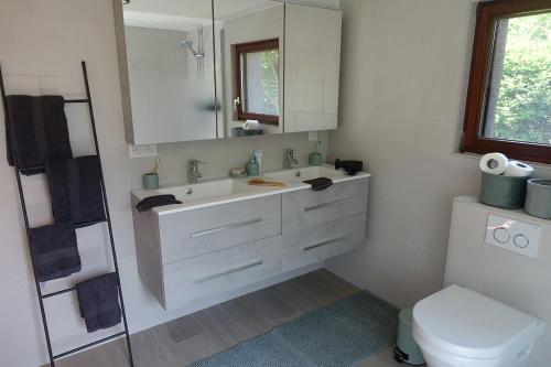 uma casa de banho com um lavatório, um WC e um espelho. em Lien's Cottage em Bruges