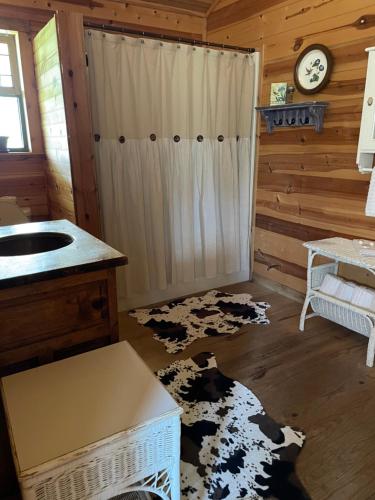 a bathroom with a sink and a shower in a room at City on a Hill at Spring Creek in Fredericksburg