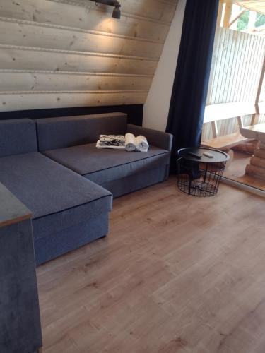 a living room with a couch and a table at Villa Solina in Zawóz