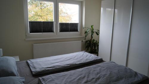 Een bed of bedden in een kamer bij Ferienwohnung Schauf 2