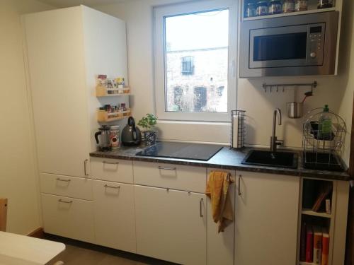 uma cozinha com um lavatório e um micro-ondas em Kleine Galerie Apartment für 3 mit Küche Kamin Netflix Parken und Hofladen em Steinhöfel