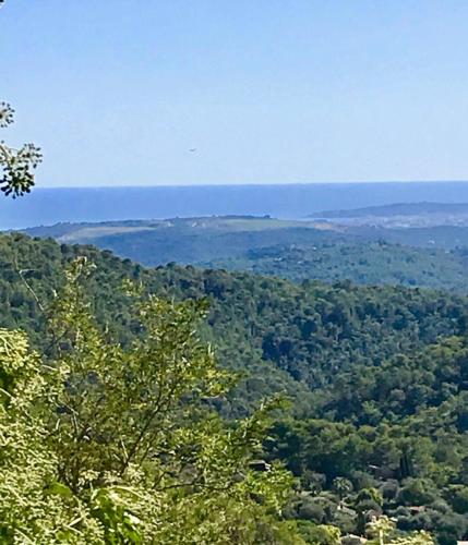 a view of a lush green forest with the ocean in the background at Guest App'Art in Tourrettes-sur-Loup