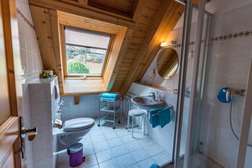 ein Bad mit einem WC, einem Waschbecken und einer Dusche in der Unterkunft Wiesenglück in Fröhnd