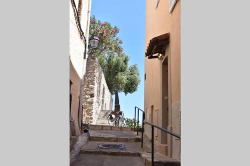 PICASSO by the sea Luxurious design house sea view old Antibes for 6 photo 34