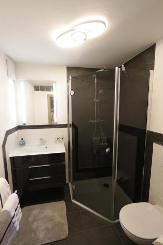 a bathroom with a shower and a sink and a toilet at Haus Scheglmann inkl. Chiemgaukarte in Ruhpolding