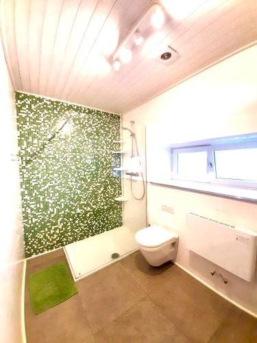 a bathroom with a toilet and a green wall at La villa des Savoyards in Vielsalm