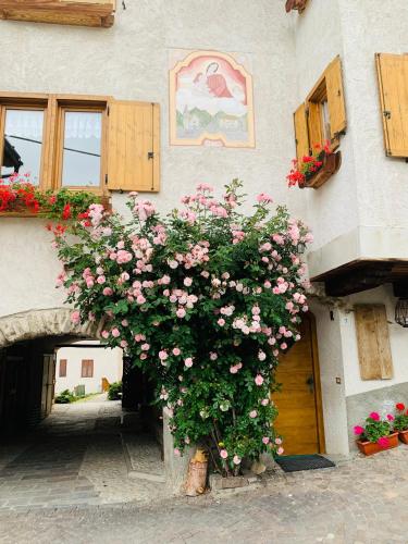a bush of pink flowers on the side of a building at Coriva Homes Termenago in Pellizzano