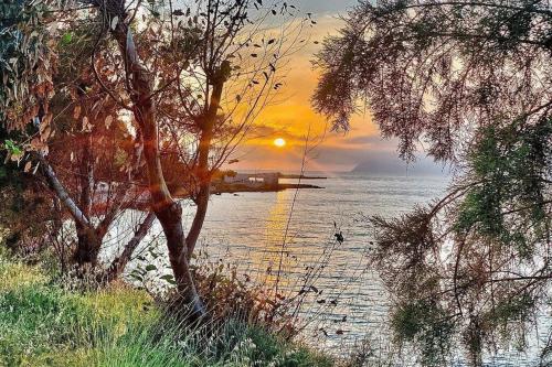 a sunset over a body of water with a tree at Lava House in Mandrakion