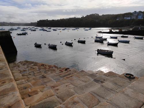 a group of boats in a body of water at Maison de pêcheur Port de plaisance Tréboul in Douarnenez
