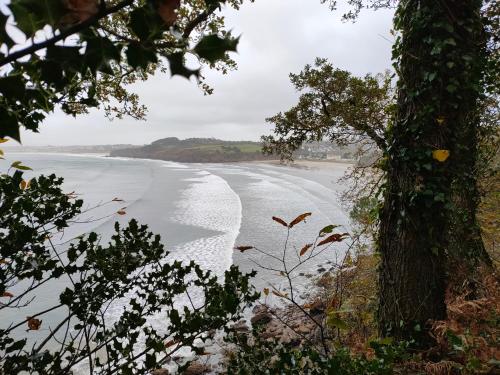 a view of the beach from a tree at Maison de pêcheur Port de plaisance Tréboul in Douarnenez