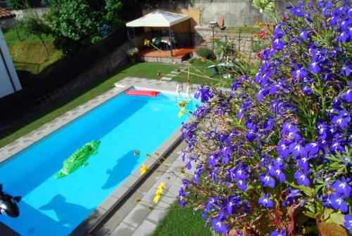 een zwembad in een tuin met paarse bloemen bij B&B Da Franca in Camporgiano