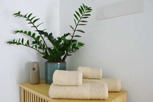 uma pilha de toalhas numa prateleira de madeira com uma planta em Habitación con baño y entrada independiente em La Santa