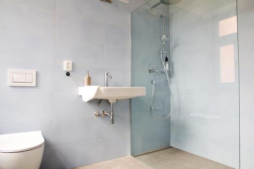 W łazience znajduje się toaleta, umywalka i prysznic. w obiekcie Apartmán Vladimír Poděbradská 1279 w Karlowych Warach