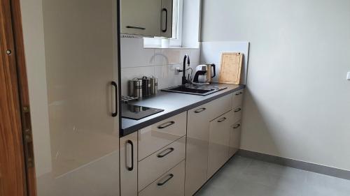 A kitchen or kitchenette at Apartamenty Śląsk