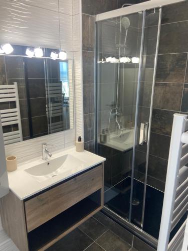 un baño con lavabo y ducha en Front de mer à Wimereux - Wifi-, en Wimereux