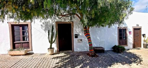 a tree in front of a white building with a door at Luana House in Teguise