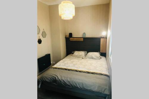 um quarto com uma cama com duas almofadas em Appartement 2/3 pers, centre ville avec parking. em Saint-Brévin-les-Pins