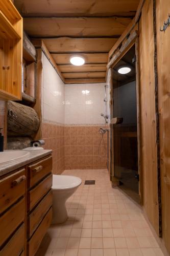 a bathroom with a toilet sink and a shower at Saaruantähti Cottage in Ruka