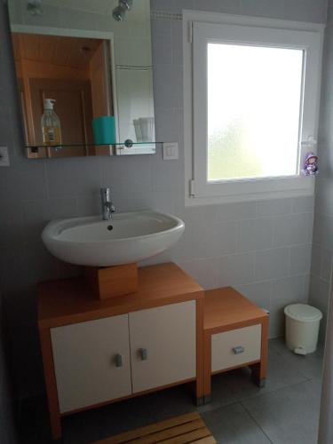 une salle de bain avec un lavabo et une fenêtre dans l'établissement Gite les bambous en BAIE DU MONT ST MICHEL, à Dragey-Ronthon