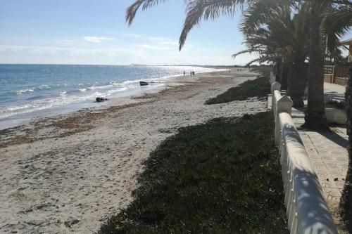 a beach with a fence and palm trees and the ocean at CHALET A 5 METROS DEL MAR.Wifi gratis in Murcia