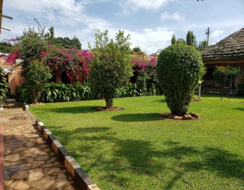 two trees in a yard with bushes and flowers at Gorilla African Guest House in Entebbe