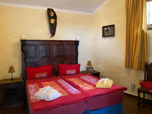 El Jaral的住宿－Casa Niagara，一间卧室配有一张带红色枕头的大床