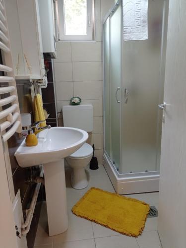 a bathroom with a toilet and a sink and a shower at APARTMAN SUNFLOWER in Sremska Mitrovica