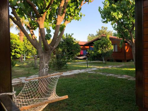 una hamaca colgada de un árbol en un patio en Ozge Bungalow Hotel, en Cıralı