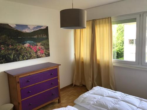 ein Schlafzimmer mit einer lila Kommode und einem Fenster in der Unterkunft Bijou Appartment in Zollikofen
