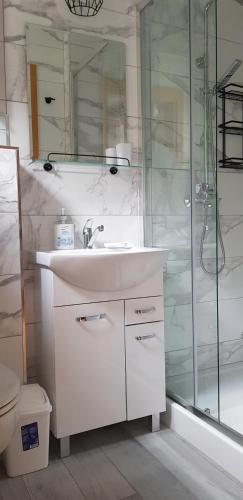 a white bathroom with a sink and a shower at Willa Basinek in Muszyna