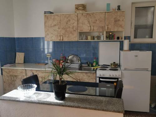 eine Küche mit einer Theke, einem Kühlschrank und einer Spüle in der Unterkunft Hostel Raft Neretva in Konjic