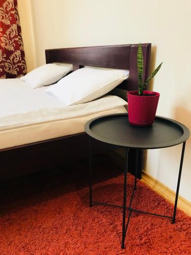 a table with a plant on it next to a bed at Iren Lviv apartment in Lviv