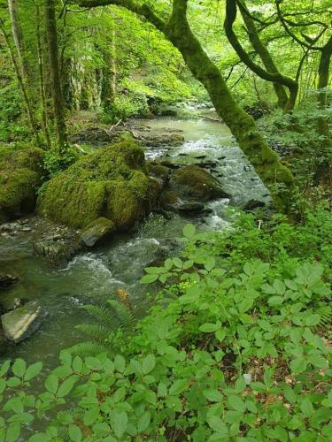 Un paisaje natural cerca de la casa vacacional