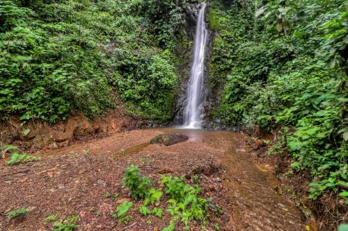a waterfall in the middle of a forest at Lost Pools Bungalow in Uvita