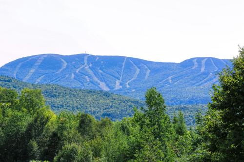 The Maine Glades – Photos 3