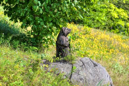 The Maine Glades – Photos 4