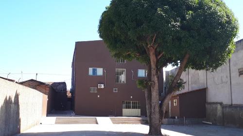 a tree sitting in front of a building at Pousada Nordestina in Riachão