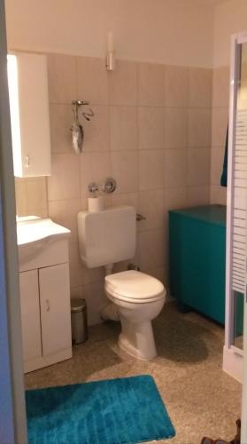 a bathroom with a white toilet and a sink at Aussicht in Hahnenklee-Bockswiese