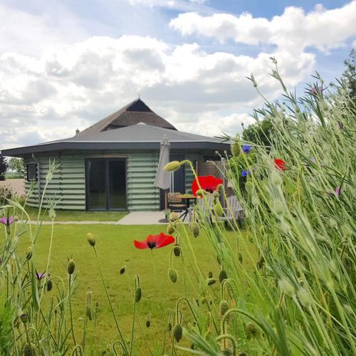 a house with a grass yard with red flowers at Silo 161 in Ruinerwold