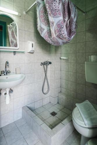 a bathroom with a shower and a toilet and a sink at Vikos Hotel in Monodendri