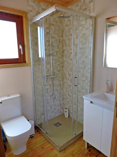 a bathroom with a shower with a toilet and a sink at Quinta da Resteva-Chalé do RIBEIRO in Vieira do Minho