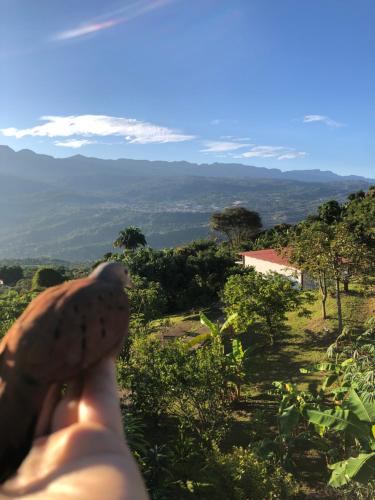 a hand holding up a cookie with a view at Cabañas Los Tulipanes in La Mesa