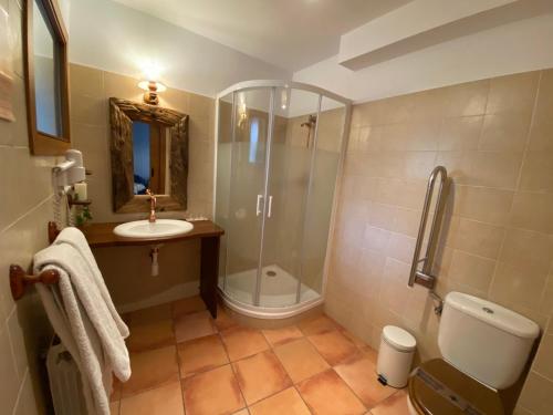 a bathroom with a shower and a toilet and a sink at Casa Rural Era de Ferro in Erill la Vall