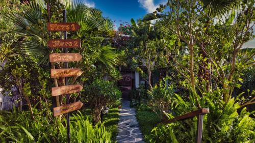 Jardí fora de Casa Lobo