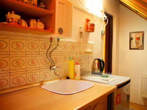 a kitchen counter with a sink in a kitchen at Apartmány Zuberec - Julius a Agnes in Zuberec