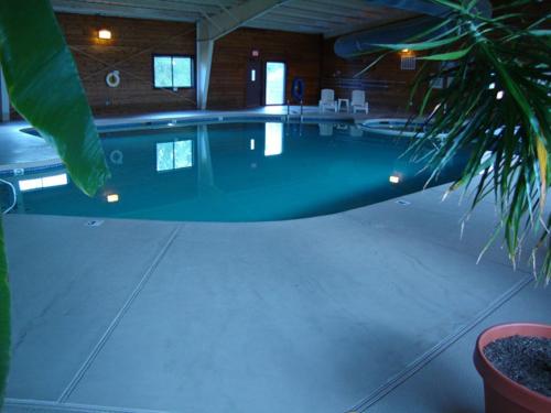 una piscina en una casa con una palmera en Roundhouse Resort, a VRI resort en Pinetop-Lakeside